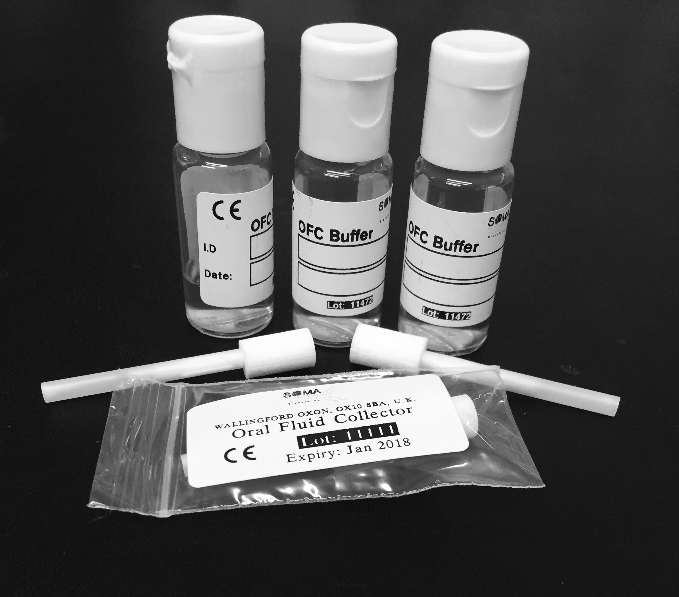 Oral Fluid Collector II
